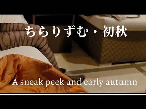玉野シーサイドランチからのラブホデート