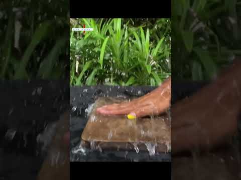 Slow motion 🆚 Balloon blast 💥 #slowmotion #blast #new