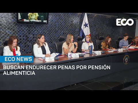 Alta demanda de pensiones alimenticias en Panamá | #EcoNews