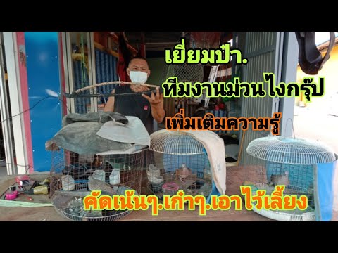 แว๊ะเยี่ยมป๋า...ทีมงานม่วนไง่ก แว๊ะเยี่ยมป๋า...ทีมงานม่วนไง่ก
