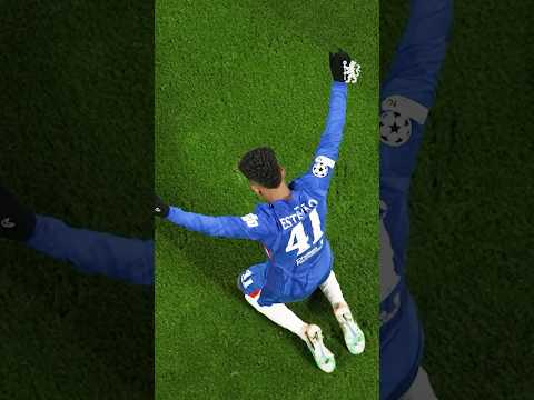 Every Angle of ESTÊVÃO 🎥