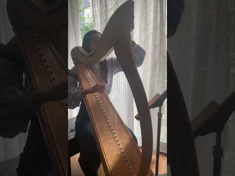 ハープで『彼方の光/リベラ』Far Away/Libera #harp #ハープ #演奏