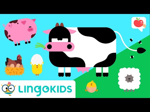 FARM ANIMALS for toddlers 🐮🐷 VOCABULARY, SONGS and GAMES | Lingokids