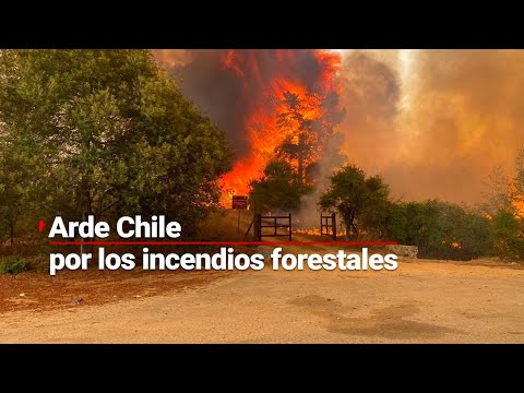 ¡Arde Chile! | Incendios Forestales DEVASTAN Valparaíso