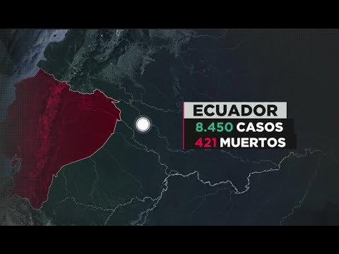 Coronavirus Ecuador | Más de 5.000 muertos en Guayas