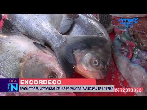 Feria del Pescado, Tubérculos y Hortalizas promueve venta directa al consumidor