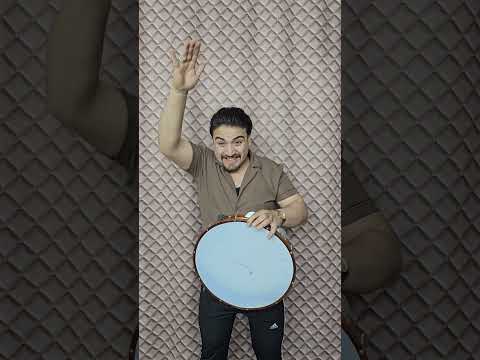 سحلية | سحلية ترقص | عزف على الطنجرة | Lizard | start | سحلية كيوت | اصغر سحلية 🦎