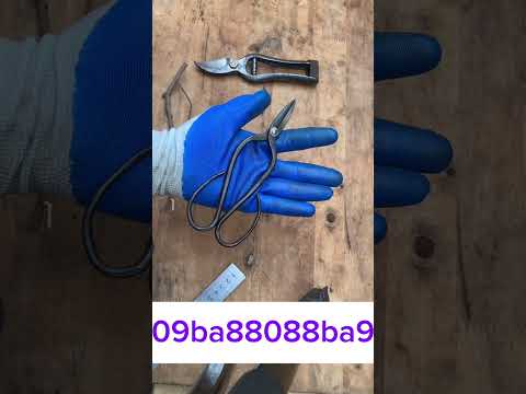 Giao lưu chia sẽ cùng ae đam mê nghệ thuật tạo tác bonsai #bonsai #bonsaiarrt #bonsaitool