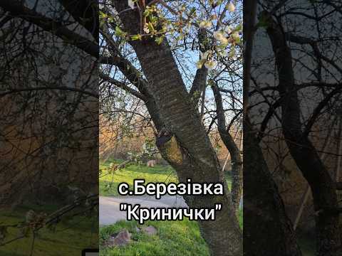 Щастя бути вдома. с.#Березівка