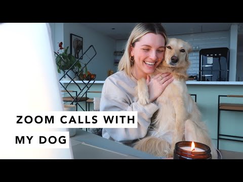ZOOM CALLS WITH MY DOG - WEEKLY VLOG | Estée Lalonde