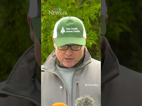 This project is <strong>helping</strong> expand Saskatoon’s urban canopy