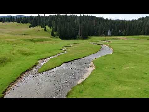 A Ponor-patak és a Ponor-rét, Pádis-karsztfennsík, Bihar-hegység, Erdélyi-szigethegység, Erdély