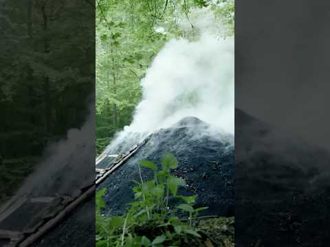 Das Ende der Köhlerei im Taunus 🌲
