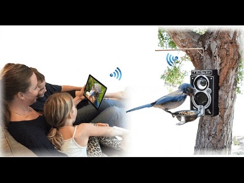5 New Useful Inventions You Should See #31 [DE]