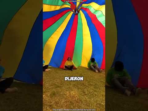 Corrimos la cortina… ¡Y entonces pasó ESTO! 😳🎭🎈 #shortvideo