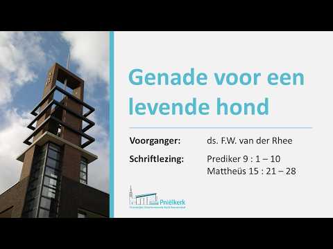 Morgendienst 12-07-2026 vanuit de Pniëlkerk te Veenendaal