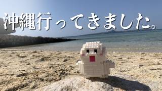 【サイハイ】人生初の沖縄旅行行ってきたよ雑談配信【まめ太 / Vtuber】