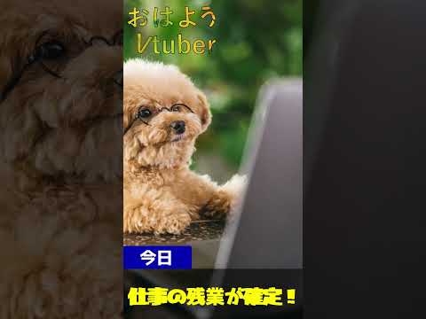 thumbnail_ipDvyYVtrL0