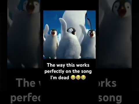 WHY DOES THIS MATCH 😭