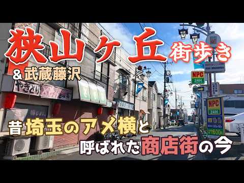 狭山ヶ丘駅と武蔵藤沢駅を街歩き　所沢市と入間市のベッドタウンの2駅を散策　埼玉のアメ横 トコロードや国道463号沿いのロードサイド店を巡る