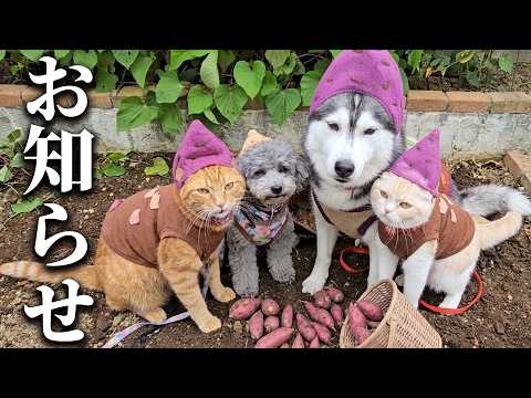 みなさまに嬉しいお知らせがあります...