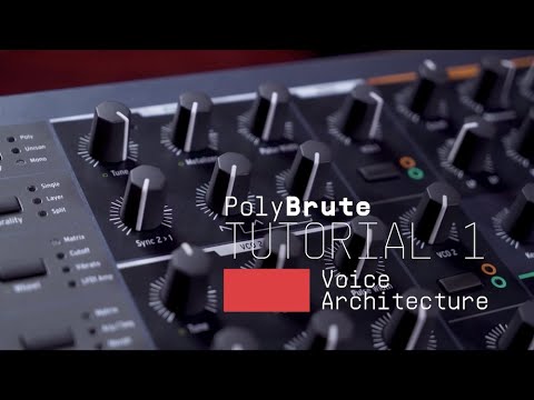 Tutorials | PolyBrute - Episode 1: Voice Architecture