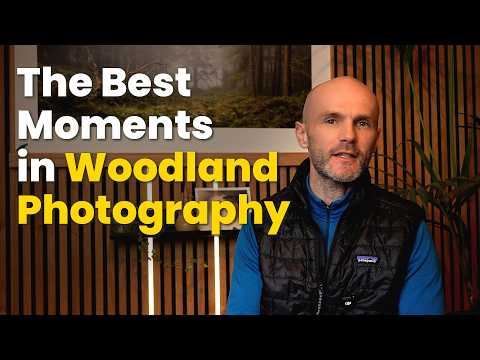 The Best Moments in Woodland Photography