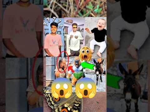 DADi KO LION SE KISNE BACHAYA 😱 #shortfeed #funny #trending #viral #urk_suraj55