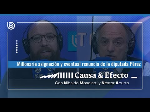 Análisis | Millonaria asignación y eventual renuncia de la diputada Pérez