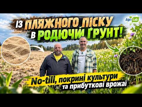 Із пляжного піску в родючий ґрунт!🌱 No-till, покривні культури та прибуткові врожаї💰