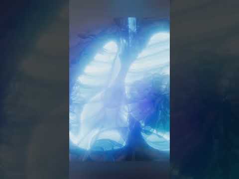 Fractals: Nature’s Never-Ending Patterns 🌀 #Fractals #NaturePatterns #AmazingNature