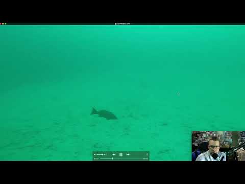 Gulf of Mexico ledge underwater and fish finder display comparison
