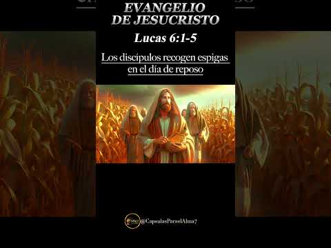 Los Discípulos Recogen Espigas en el día de Reposo | Lucas 6:1-5