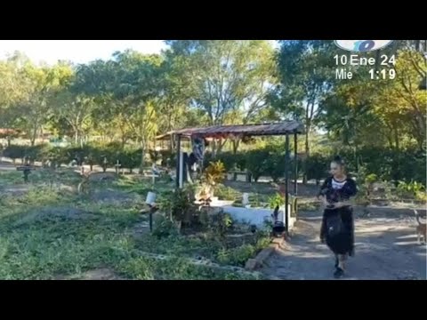 Denuncia robos de estatuas y flores en el cementerio municipal del Palacaguina.