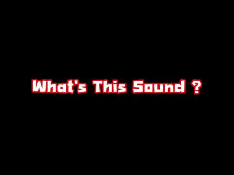นี้มันเสียงอะไรกัน-Whats-This- นี้มันเสียงอะไรกัน-Whats-This-