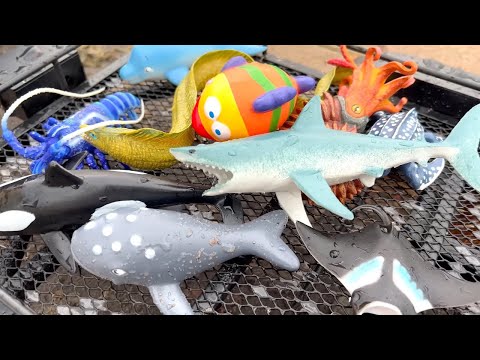RC Truck Sea Animal Toy Hunt at the Lake Beach! Dolphin, Orca, Lobster & More Rescue 🦈🚚🌊