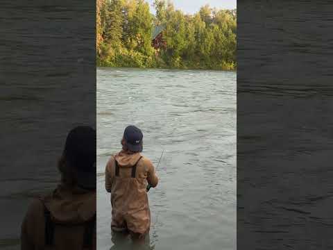 Sockeye Therapy #Fishing #fishinglife #SockeyeSalmon #KenaiRiver #viral #shorts #youtubeshorts
