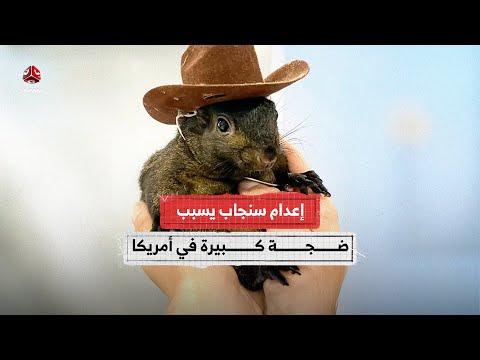 إعـ.ـد.ام سنجاب يسبب ضجة كبيرة في أمريكا.. ما القصة؟