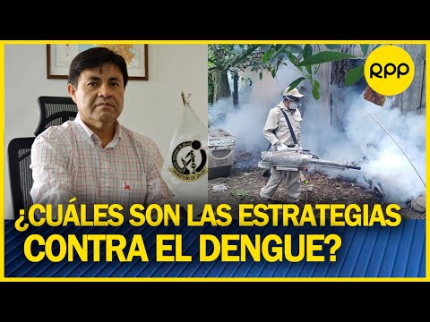 Rosa Gutiérrez: tras renuncia de la ministra ¿Cuáles son las estrategias para combatir el dengue?