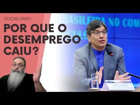 PEDIDOS de SEGURO-DESEMPREGO estão em ALTA, como PODE o DESEMPREGO TER CAÍDO? EXISTE uma EXPLICAÇÃO!