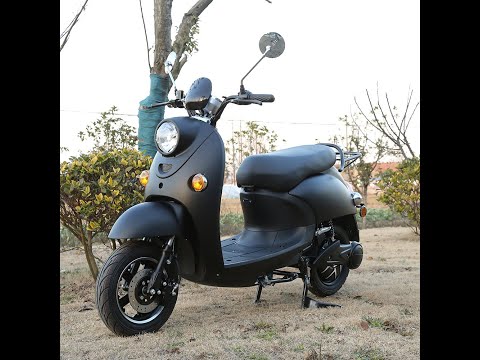 Retro classic electric scooter with EEC/COC Approved