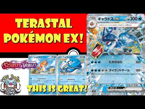 Pokemon TCG News