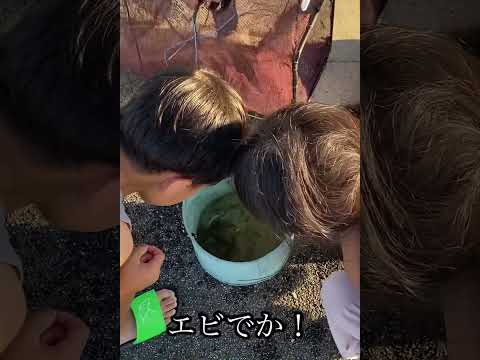 2025.9夏の思い出#しかけ#魚釣り #どじょう #パパとの遊び#朝の日課#川の生き物 #川遊び