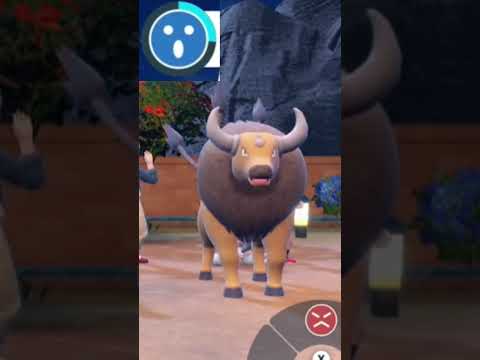 thumbnail_isH8CDAB3FE