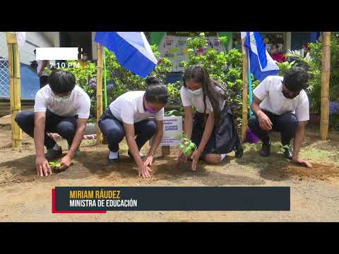 Sigue jornada de siembra de árboles en escuelas públicas del país - Nicaragua