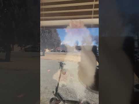 me cheese says hi #cat #funny #catvideos #catshorts #cats #catvideo