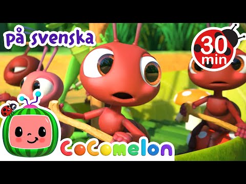 Ro, ro, ro vår båt av myror | Sånger för Barn | CoComelon Svenska