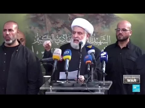 'Lebanese political class completely helpless in face of militia Hezbollah' • FRANCE 24 English