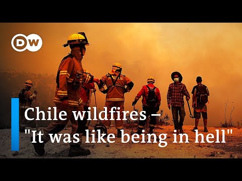 Wildfires claim dozens of lives in Chile | DW News