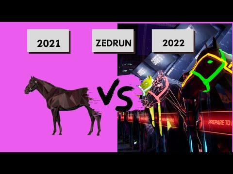 Zed Run 2022 Road Map Review and Break Down